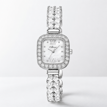 YBN8829 Silver Case